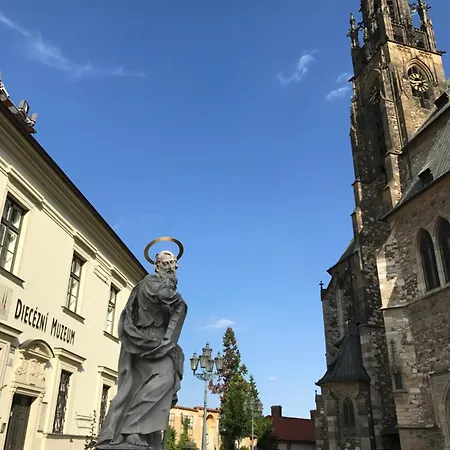 Spilberk Castle View, Private Suite, Center Rum i privatbostad Brno